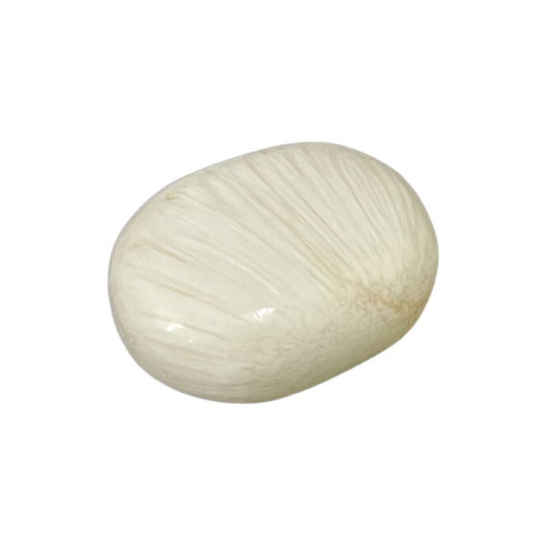 Scolecite Palm Stone