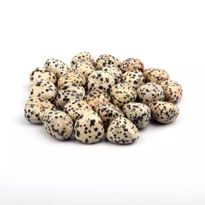 Dalmatian Jasper Tumbled Stone